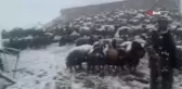 Besiciler Mayıs ayında yaylada kar engeline takıldı