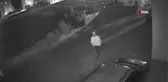 Pişmaniyecinin otomobilini çaldı, 