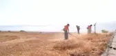 Sahillerde temizlik çalışması yapıldı