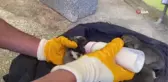 Çöp konteynerinin yanında buldukları yavru köpekleri, biberon ile beslediler