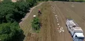Patates tarla günü etkinliği yapıldı