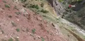 Tunceli'de yaban keçileri havadan görüntülendi