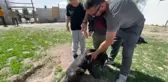 Otizmli çocuklar, can dostlarıyla sosyal iletişimlerini geliştiriyor