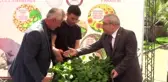 Fındığa alternatif aronya bahçeleri kuruluyor