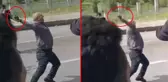 Tunceli Valiliği, polise taş atan HDP'li milletvekili Alican Önlü hakkında suç duyurusunda bulundu