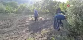 Akılalmaz olay: Renkli tapuyla kapora vurgunu... Başkasının arsasını satışa çıkararak onlarca kişiyi dolandırdı, gerçek icrayla ortaya çıktı
