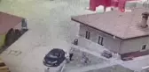 Sokak köpeğini besleyen kadını böyle darp ettiler