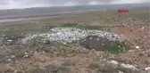 SALYAZI KÖYÜNDE ÇÖP TEPKİSİ