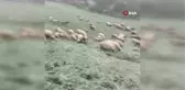 Tokat'ta 19 Mayıs'ta yüksek kesimlere yağan kar görenleri şaşırttı