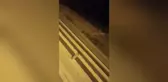 Bilecikli Bal Üreticisin Kovanlarını Ayılar Parçaladı