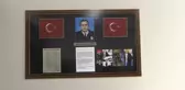Üniversiteliler 