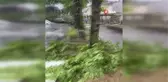 Almanya'daki hortum felaketinde 1 kişi öldü