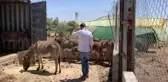 Ürdün'ün şifa ve güzellik kaynağı 