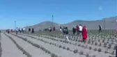 Karapınar'da Göktepe, Acıgöl, Lavanta Bahçesi Uçuş Festivali düzenlendi