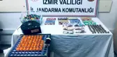 Jandarmadan İzmir'de Kumar Baskını