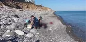ZONGULDAK - Karadeniz'de görülen yunus ölümleri araştırılıyor