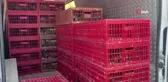 Eflani çiftçisine 2 bin 500 adet hindi ve yumurtalık tavuk civcivi dağıtıldı