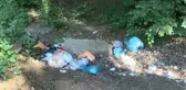 (Ek bilgiyle) Belgrad Ormanı'nı çöplüğe çevirdiler