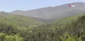 Kazdağları'nda adeta polen fırtınası yaşandı