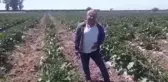 Adanalı Çiftçi: 