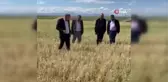 Kuraklık ve dolu nedeniyle zarar gören tarım arazilerinde hasar tespiti sürüyor