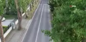 Ata yadigarı doğal yeşil tünelde keyifli yolculuk