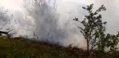Sinop'ta orman yangını