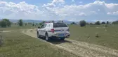 Kayıp çoban ölü bulundu