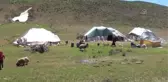 Yaylalarda konaklayan göçerlerin süt sağım mesaisi başladı