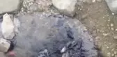Malkara Çimendere'de Balık Ölümleri Köylüleri Tedirgin Etti: 