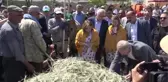 Araban'da festival coşkusu
