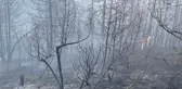 Bolu'da çıkan orman yangını kontrol altına alındı