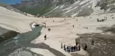 Cilo Dağları bitki çeşitliliğiyle bilim insanlarını heyecanlandırdı