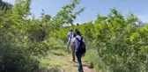 Ahbap Derneği üyeleri doğaya meyve çekirdeği bıraktı