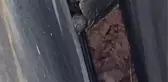 Duvarların arasına düşen kaplumbağa kurtarıldı