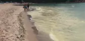 Bartın'daki deniz kirliliğine inceleme başlatıldı