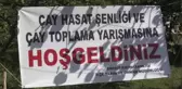 Çay Hasat Şenliği ve Okullar Arası Çay Toplama Yarışması düzenlendi