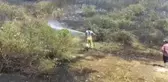 Ödemiş'te tarım arazisinde başlayan yangın zeytin ağaçlarına zarar verdi