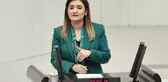 Sevda Erdan Kılıç'dan Kaçırılan ve Kaybolan Çocuklarla İlgili Araştırma Önergesi: 