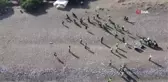 Üreme öncesi caretta carettaların yuva yaptığı sahil temizlendi
