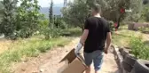 Yaralı Puhu kuşunu böyle kurtardılar