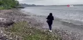 Fatsa sahilindeki değerli taşlar keşfedilmeyi bekliyor