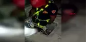 HAVALANDIRMA BOŞLUĞUNA DÜŞEN KEDİLER KURTARILDI