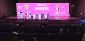 Gökdoğan ve Bozdoğan füzeleri seri üretime hazırlanıyor
