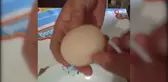 Şaşkına çeviren olay... Yumurtanın içinden yumurta çıktı