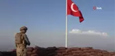 Şırnak'ta tedavisi tamamlanan kuşlar doğaya bırakıldı