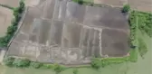 Siyah pirinçle tarımsal ürün çeşitliliği artırılacak