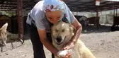 500'ü aşkın köpeğe barınakta bakan 'İnci anne' hayırseverlerden yardım istiyor