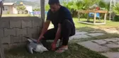 Hatay'da yaralı gümüş martıya vatandaş şefkati