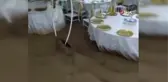 Sele düğünde yakalandılar, masaların üzerine çıkarak kurtuldular